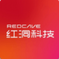 红洞数字藏品平台 官网版