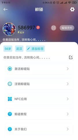鲸碰app