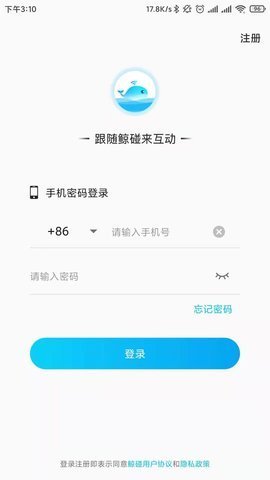 鲸碰app