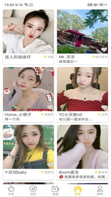 秋叶直播