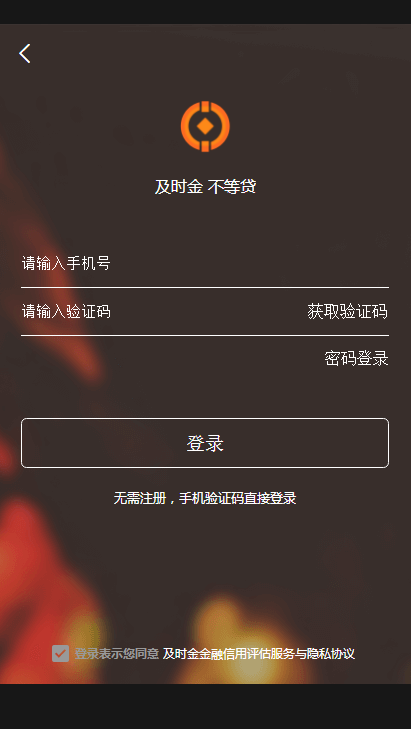 及时金贷款