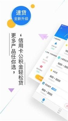 借你用借款