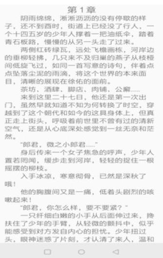 镇国小说