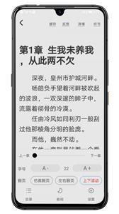 木瓜小说