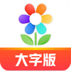 大字版天天看软件