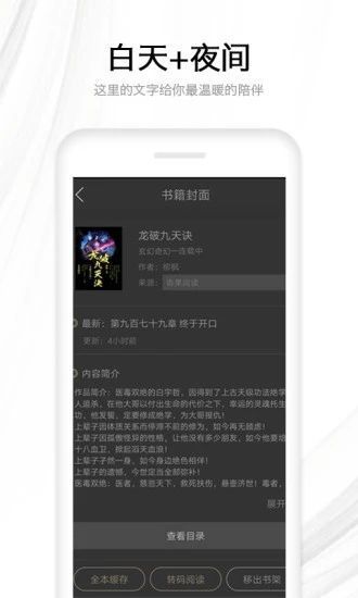 浪漫小说