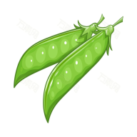 扁豆小说(Lentil)