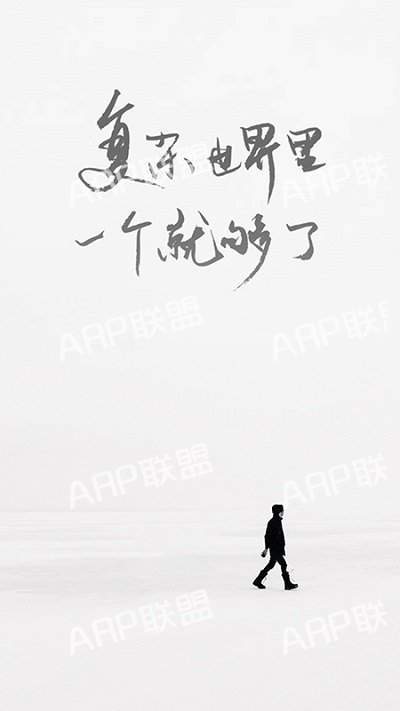 ARP联盟
