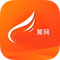 丹阳翼网