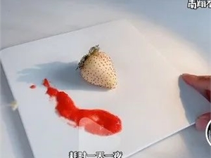 从御制名菜到红楼梦美食，“南翔不爱吃饭”如何在吸粉3500万？| 新榜专访