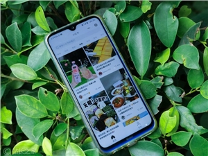 在品牌发展不同阶段，如何进行小红书团队的配置？