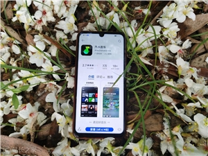 字节音乐出海，专治Z世代精神内耗