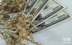 小额网贷还不起怎么办？