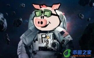 pig币官网正版手机网址 pig币app最新版下载2022