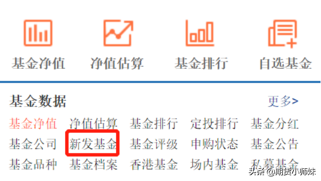 天天基金网打新基金（天天基金网打新基金下载）-第1张图片-芝麻交易所下载