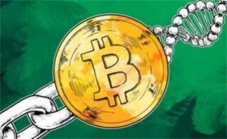 XCAD币今日最新价格行情