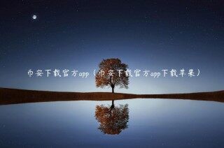 binance下载官方app（binance下载官方app下载苹果）