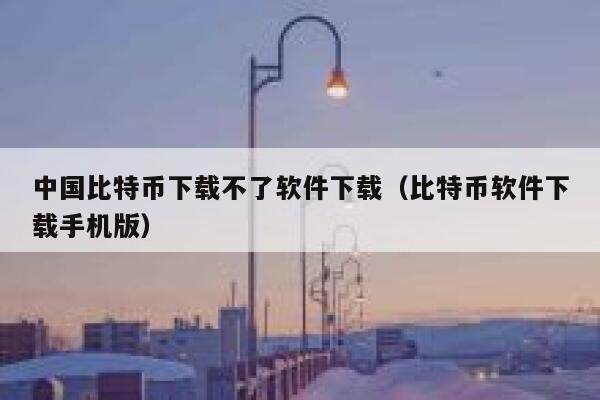 中国比特币下载不了软件下载（比特币软件下载手机版）-第1张图片-芝麻交易所下载