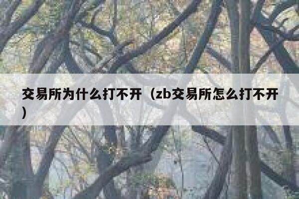 交易所为什么打不开（zb交易所怎么打不开）-第1张图片-芝麻交易所下载