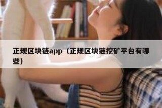 正规区块链app（正规区块链挖矿平台有哪些）