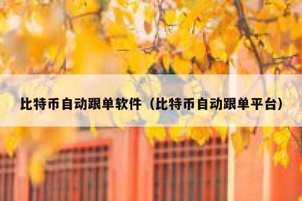比特币自动跟单软件（比特币自动跟单平台）-第1张图片-芝麻交易所下载