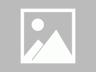 菲尔fil币官网最新消息_filecoin币今日最新价格