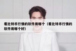 看比特币行情的软件用哪个（看比特币行情的软件用哪个好）