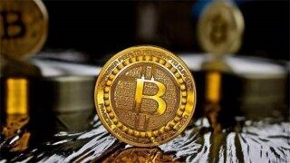 EGO币最新行情如何