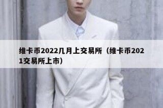 维卡币2022几月上交易所（维卡币2021交易所上市）