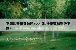 下载比特币交易所app（比特币交易软件下载）
