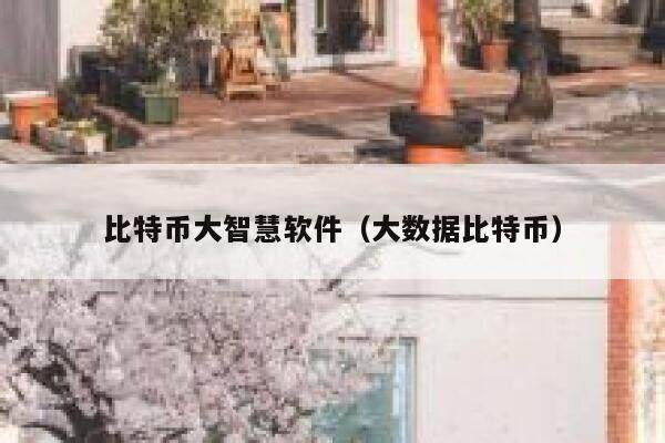 比特币大智慧软件（大数据比特币）-第1张图片-芝麻交易所下载