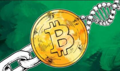 十大币交易平台排行|最安全的比特币交易平台-第7张图片-芝麻交易所下载