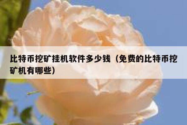 比特币挖矿挂机软件多少钱（免费的比特币挖矿机有哪些）-第1张图片-芝麻交易所下载