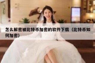 怎么解密被比特币加密的软件下载（比特币如何加密）