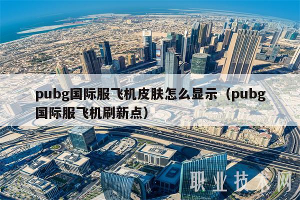 pubg国际服飞机皮肤怎么显示（pubg国际服飞机刷新点）-第1张图片-芝麻交易所下载