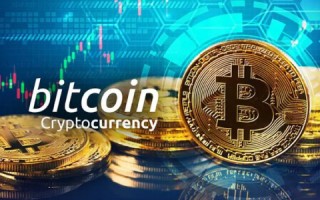 下一轮牛市炖什么币 - 币圈下一个牛市估计哪一年