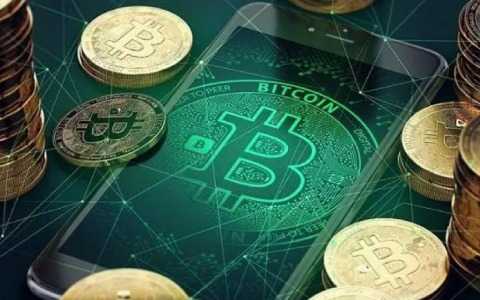 比特币十年走势一览（比特币未来十年走势）