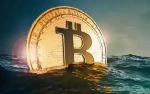 和比特币一样的还有什么平台？国外炒作比特币的平台-第4张图片-芝麻交易所下载