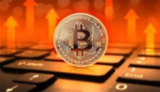 PTP币最高价格是多少