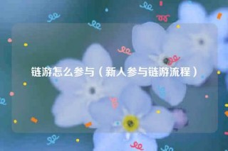 链游怎么参与（新人参与链游流程）
