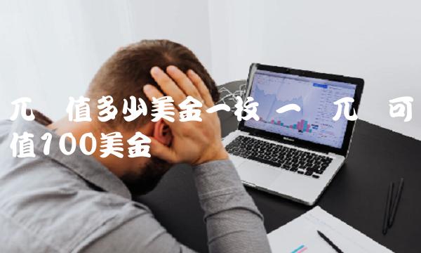 兀币值多少美金一枚 一个兀币可值100美金