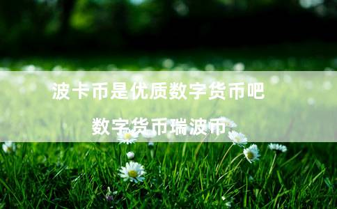 波卡币是优质数字货币吧（数字货币瑞波币）-第1张图片-芝麻交易所下载