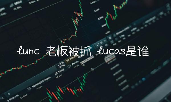 lunc 老板被抓 lucas是谁