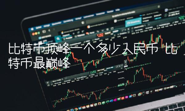 比特币顶峰一个多少人民币 比特币最巅峰