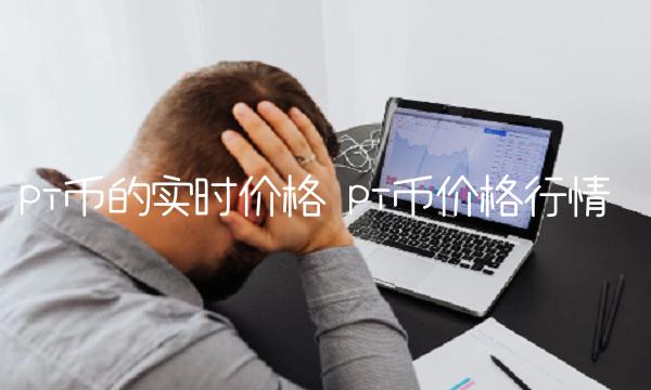 pi币的实时价格 pi币价格行情