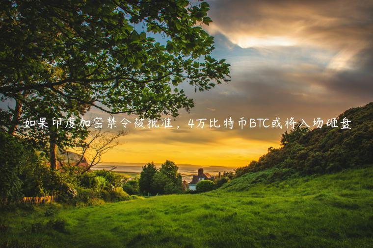 如果印度加密禁令被批准,4万比特币BTC或将入场砸盘-第1张图片-芝麻交易所下载 如果印度加密禁令被批准,4万比特币BTC或将入场砸盘-第1张图片-芝麻交易所下载