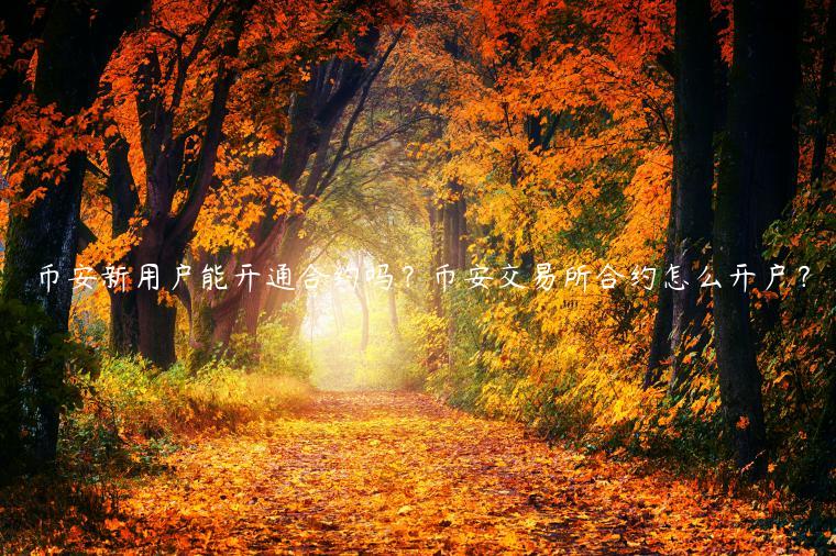 binance新用户能开通合约吗？binance 交易平台合约怎么开户？-第1张图片-芝麻交易所下载
