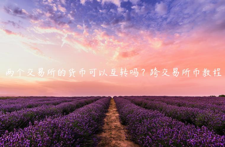 两个 交易平台的货币可以互转吗？跨 交易平台币教程-第1张图片-芝麻交易所下载