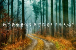 数字货币量化交易可靠吗？风险大吗？