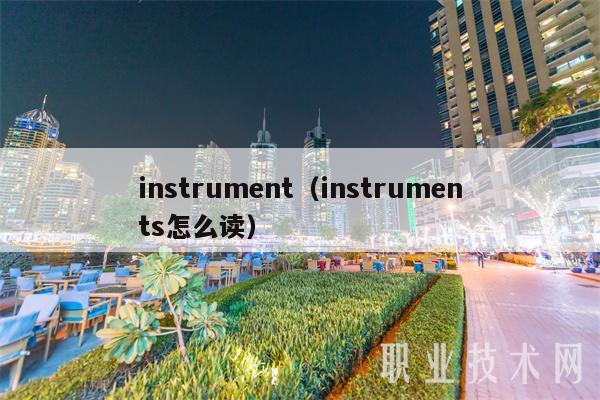 instrument(instruments怎么读)